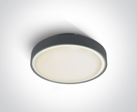 RAFTI EA plafondlamp 2x12W  IP65 wit