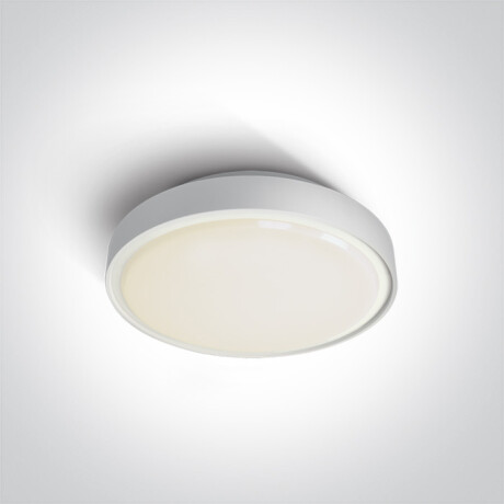 RAFTI E plafondlamp 12 W  IP65 grijs #1