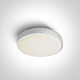RAFTI E plafondlamp 12 W  IP65 grijs #1