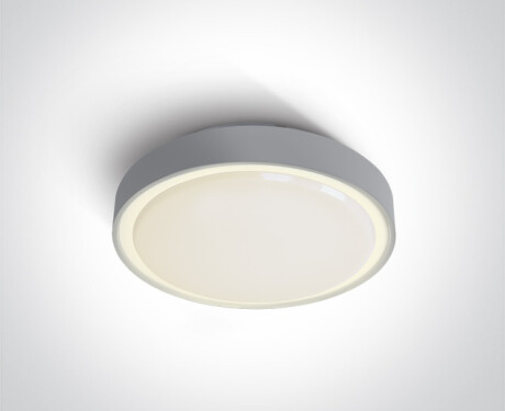 RAFTI N plafondlamp 16 W 3000 K IP65 antraciet