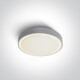 RAFTI N plafondlamp 16 W 3000 K IP65 antraciet #1