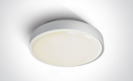 RAFTI N plafondlamp 16 W 3000 K IP65 grijs