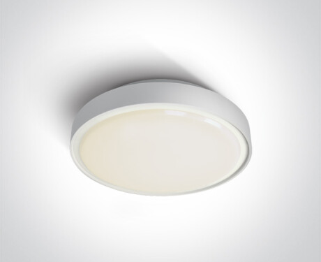 RAFTI N plafondlamp 16 W 3000 K IP65 grijs
