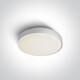 RAFTI N plafondlamp 16 W 3000 K IP65 grijs #1