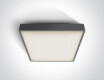 RAFTI N plafondlamp 16 W 3000 K IP65 wit