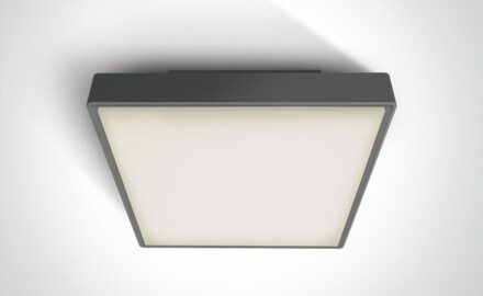 RAFTI N plafondlamp 16 W 3000 K IP65 wit
