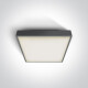 RAFTI N plafondlamp 16 W 3000 K IP65 wit #1