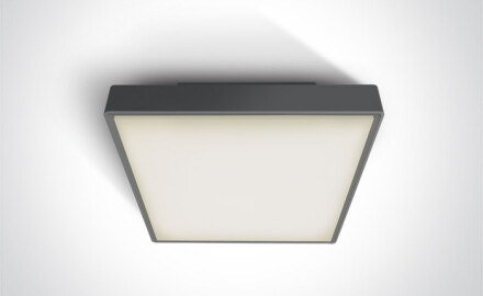 PIRNARI AN plafondlamp 24 W 3000 K IP65 grijs