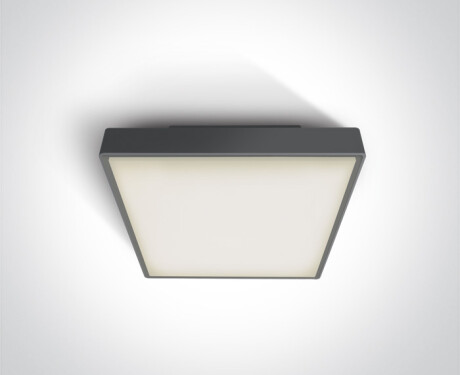 PIRNARI AN plafondlamp 24 W 3000 K IP65 grijs