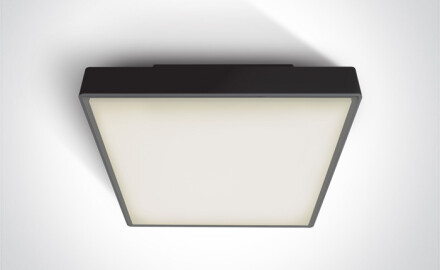 PIRNARI EA plafondlamp 2x12W E27 IP65 antraciet