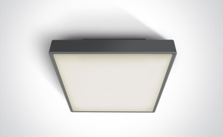 PIRNARI EA plafondlamp 2x12W E27 IP65 wit