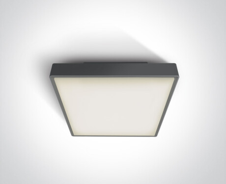 PIRNARI EA plafondlamp 2x12W E27 IP65 wit