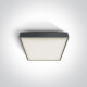 PIRNARI EA plafondlamp 2x12W E27 IP65 wit #1
