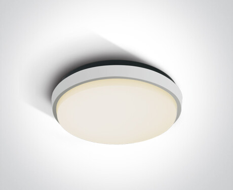 FASIDERI plafondlamp 20 W 3000 K IP54 antraciet