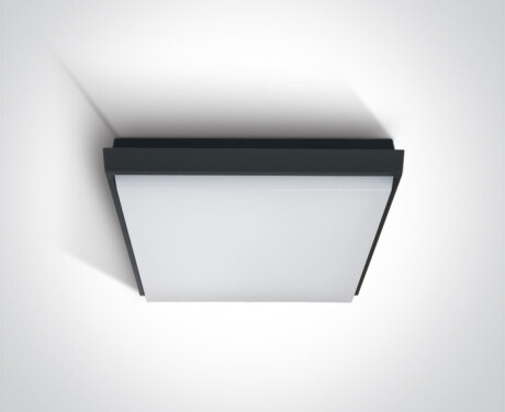 FASIDERI plafondlamp 20 W 3000 K IP54 wit