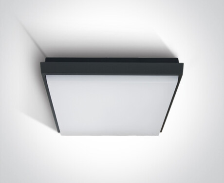 FASIDERI 2 plafondlamp 30 W 3000 K IP54 wit