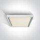 PASIO plafondlamp 30 W 3000 K IP54 antraciet #1