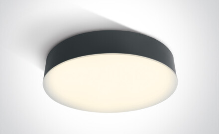 PASIO plafondlamp 30 W 3000 K IP54 wit