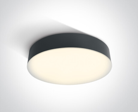 PASIO plafondlamp 30 W 3000 K IP54 wit