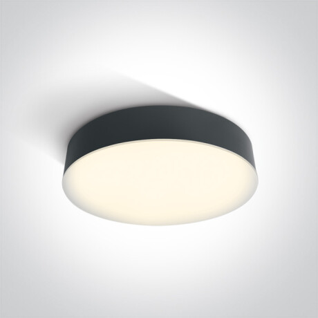 PASIO plafondlamp 30 W 3000 K IP54 wit #1