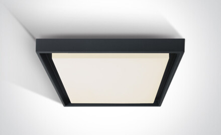 MOULKI plafondlamp 30 W 3000 K IP54 wit