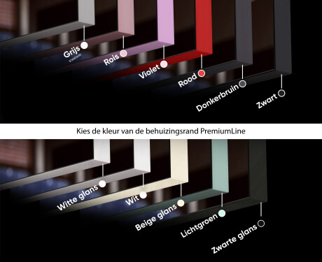 Badkamerspiegel met verlichting LED SMART L02 Samsung #7