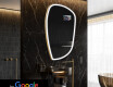 Onregelmatige Spiegel met verlichting LED SMART I222 Google
